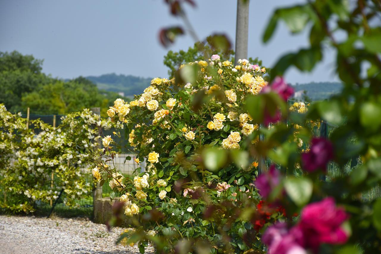 Agriturismo Panorama Salionze Eksteriør bilde
